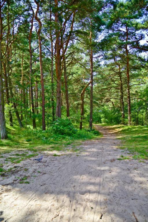 Apartamenty Lux Pogorzelica, Dwupoziomowy Z Dwiema Lazienkami I Dwoma Tarasami Pogorzelica  Esterno foto